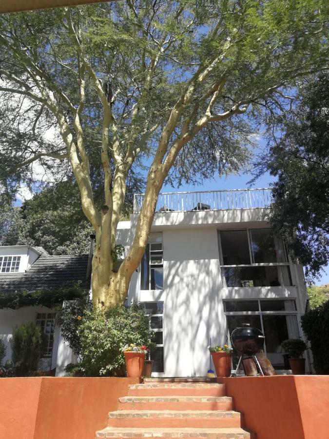 Fever Tree Suites Johannesburg Eksteriør billede